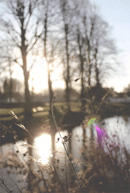 再见十月,再见晚秋