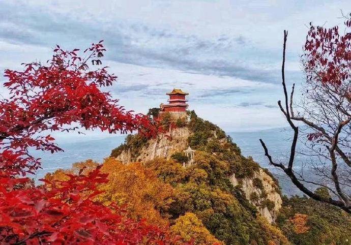 层林尽染漫山红遍：南五台迎来观赏红叶最佳期_云海