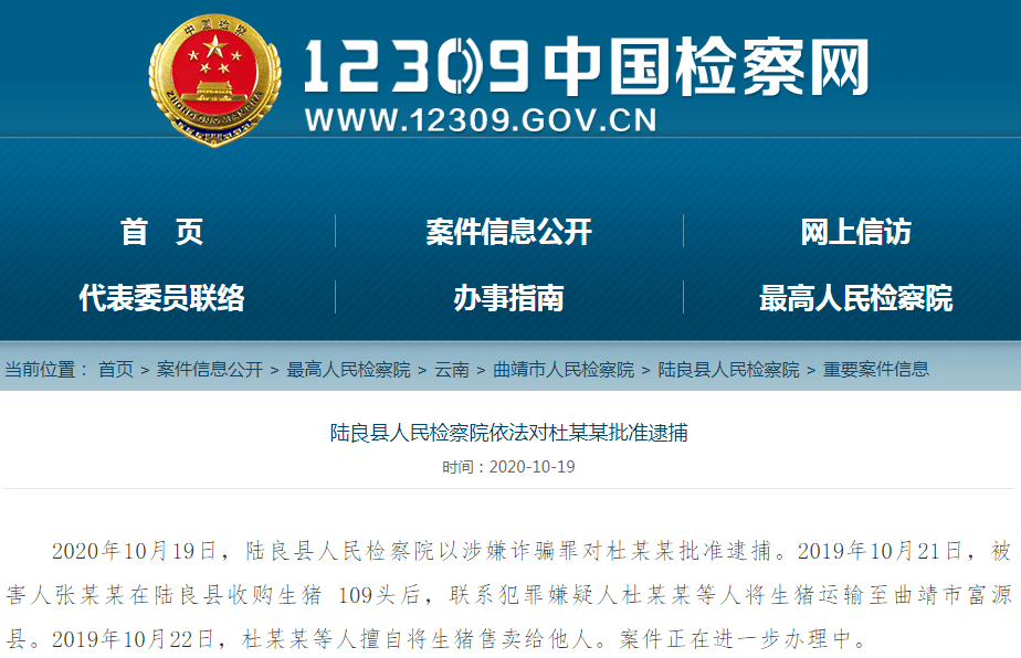 从陆良收购了109头猪卖到富源,不料半路就被司机卖了!