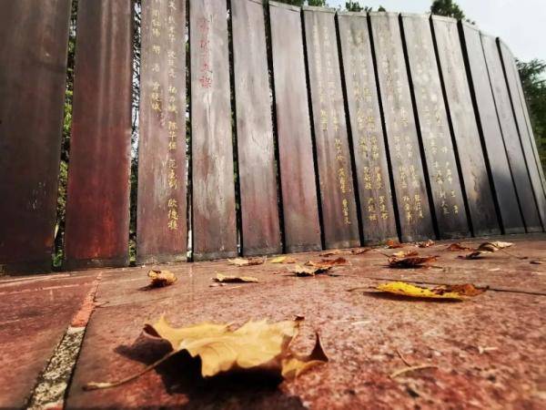 秋景大|高校秋景大赏丨想在春天种下一片色彩 在秋天送给你