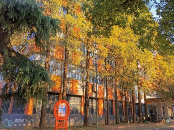 秋景大|高校秋景大赏丨想在春天种下一片色彩 在秋天送给你