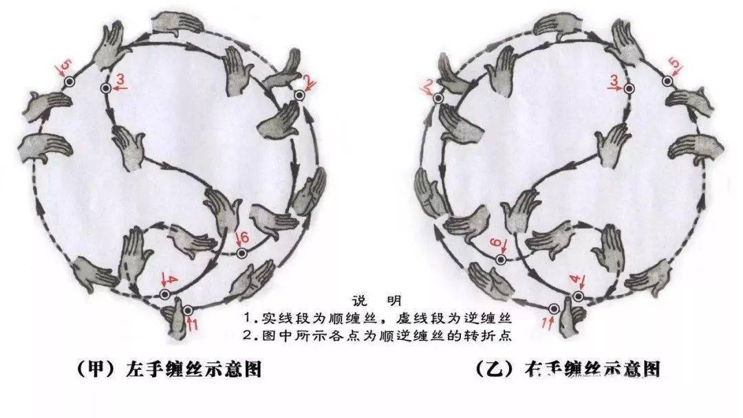 学好缠丝功打好太极拳