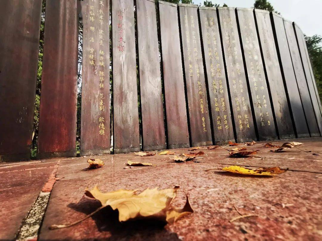 官宣|高校“官宣”秋景来了，有你的校园记忆吗？