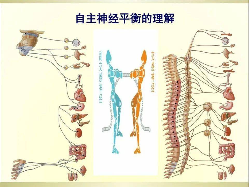 眩晕症,头晕,头疼,是植物神经紊乱引起的吗?