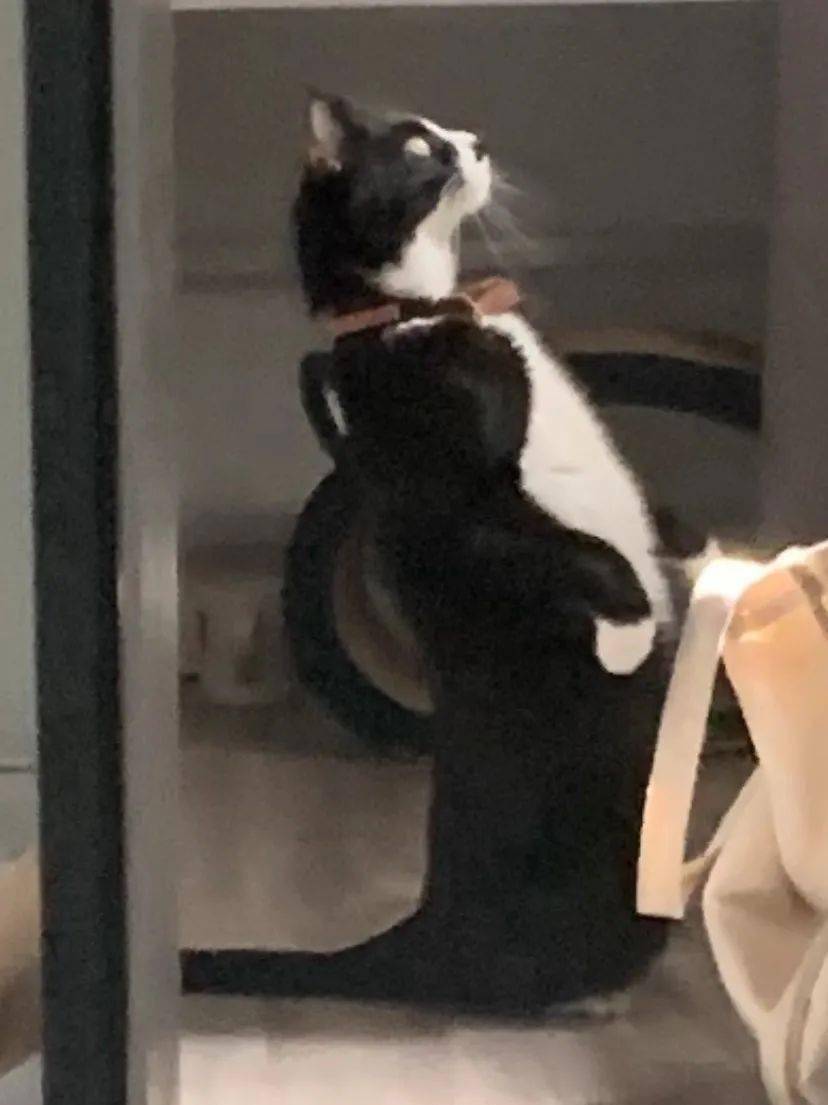 黄金|尾款人！第二波你准备好了吗？