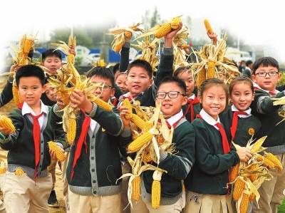 劳动|河南中小学开展多种形式劳动教育 课堂搬到“田野”上