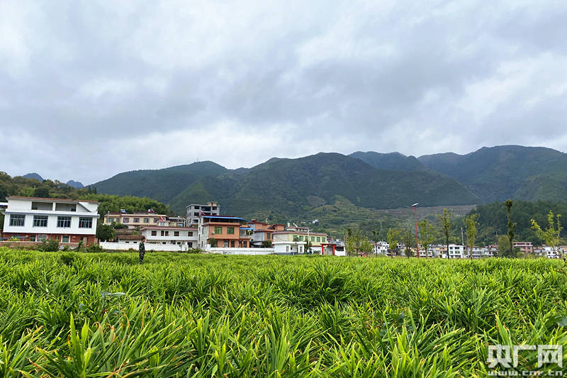 【文化扶贫在行动·湖南篇】汝城沙洲村:红色文旅带动