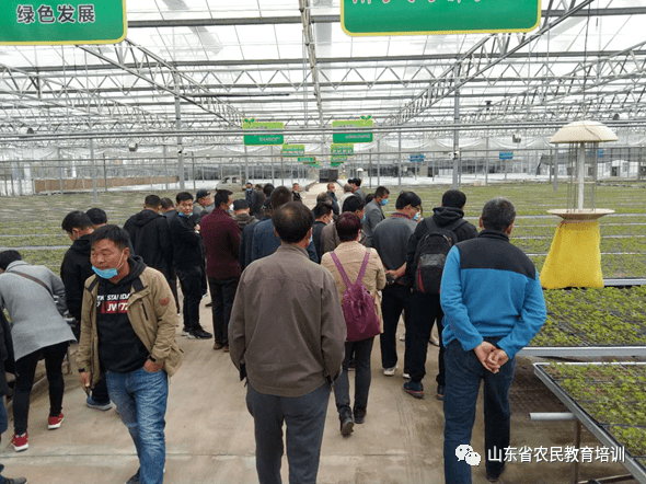 2020年莱西上半年税_青岛莱西高新技术企业研发费归集的税务审核问题