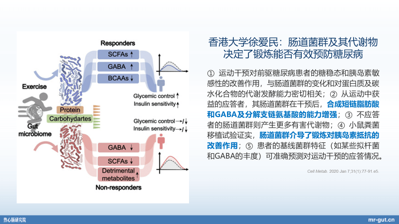 产业|热心肠先生：23分钟详解血糖、碳水化合物与菌群前沿进展