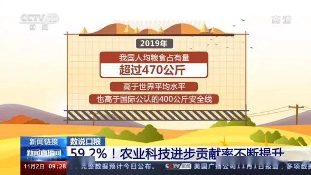 人均粮食占有量_节约粮食手抄报