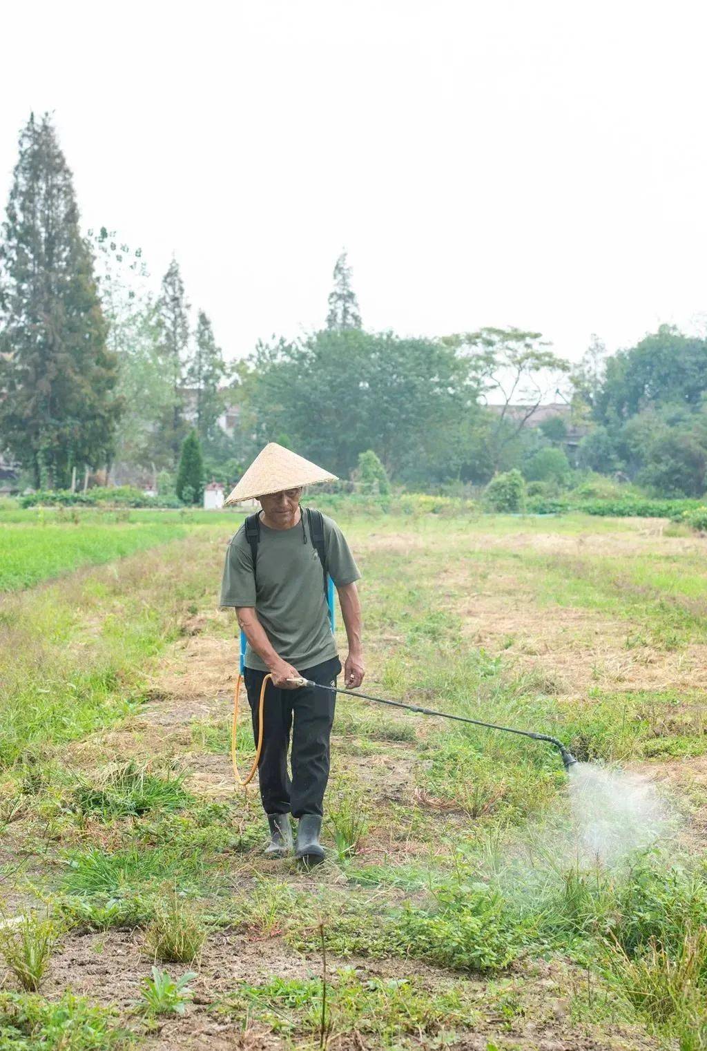 跟着镜头行走乡下,这是你印象中的田园生活吗?