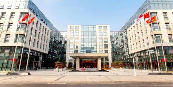 社会|沙坪坝互联网企业有了“娘家” 82会员单位共塑网络品牌