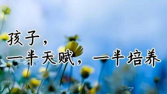 cdc669b293d042749b8657fca1ee936e.jpeg