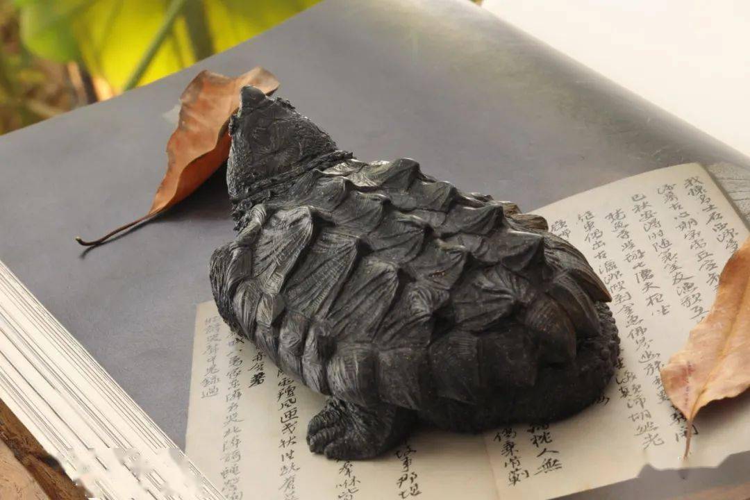 这些宠物可以把美好变成永恒!自然与人类智慧艺术完美