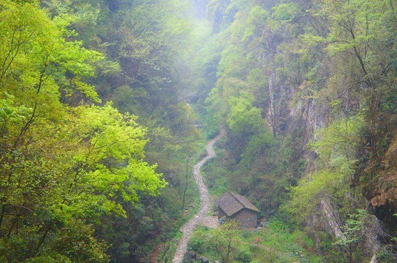 武陵峡口生态旅游区是一处集原始生态峡谷景观,农耕
