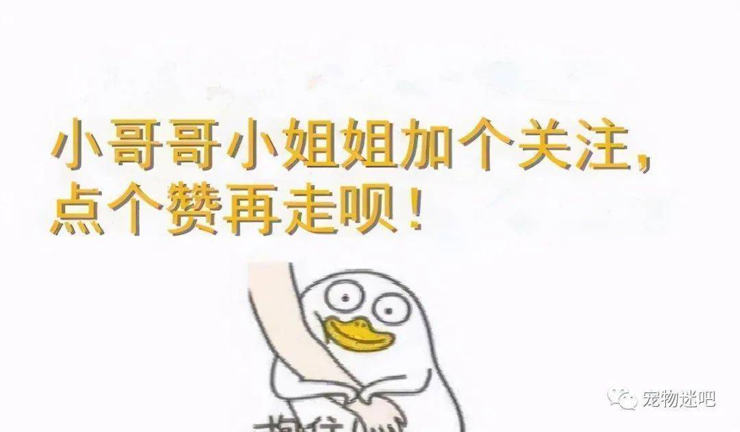 c2966ee4a8d24abfa9cd45cfd5c9c65a.jpeg