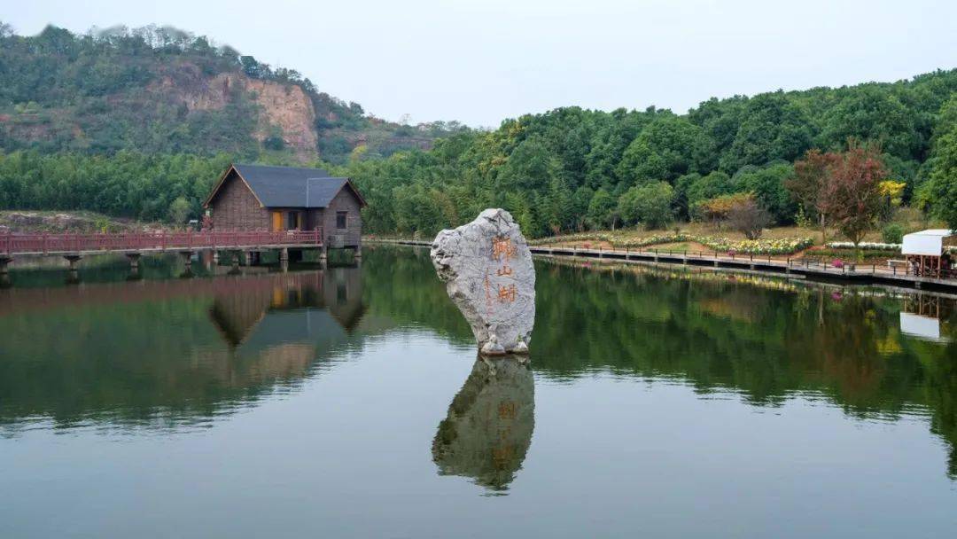 江阴狮山湖第二届金秋菊花展上线啦!