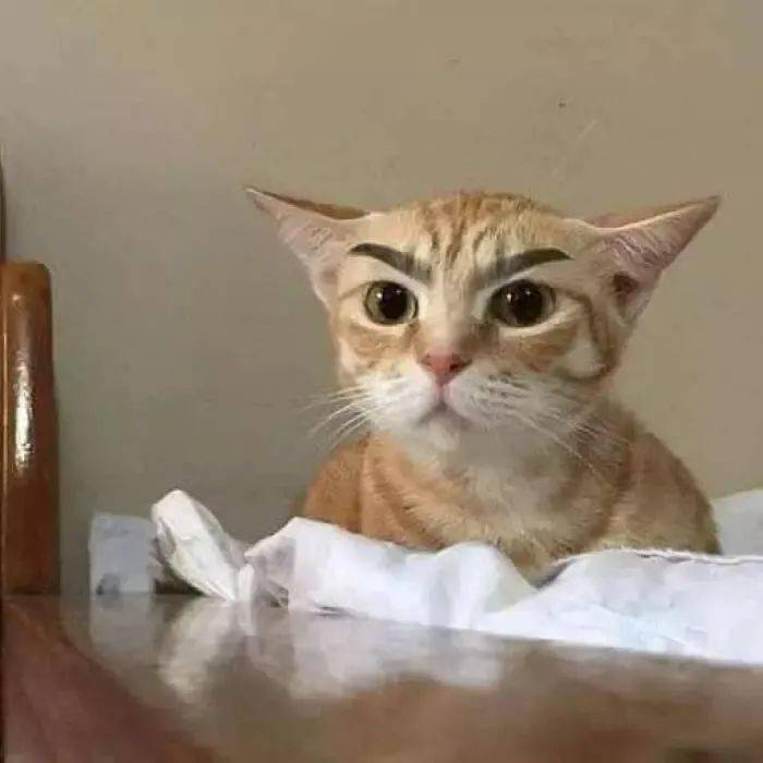 5f288743905645458085d39ab3cdf397.jpeg