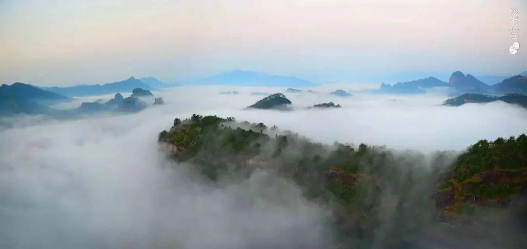 闽北美景|壮美!武夷山天游峰云海