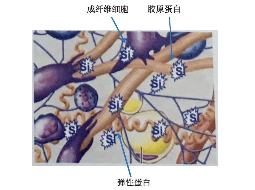 肌肤|嫩到掐出水！用一次比敷100片面膜还白润，10分钟感受女星同款水光肌！