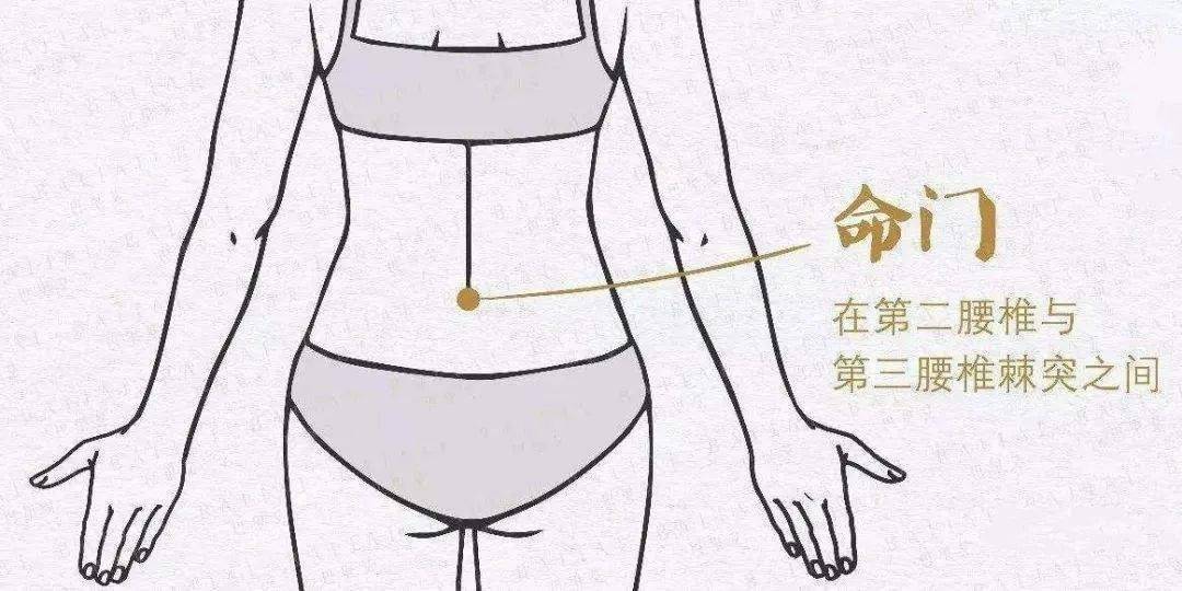 命门穴的保健按摩:双手搓热,来回热敷.