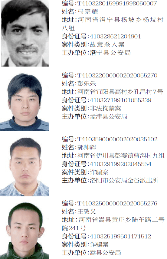 热点通缉令嵩县见到这8人请立马报警