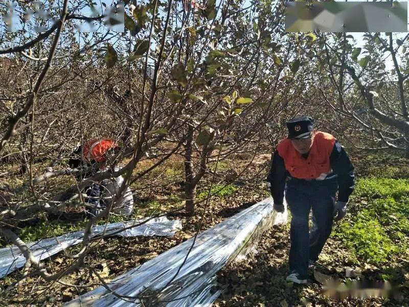 熊岳城人口_熊岳城火车站的照片