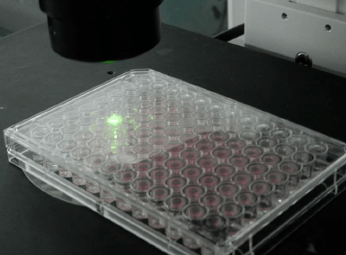 肌肤|嫩到掐出水！用一次比敷100片面膜还白润，10分钟感受女星同款水光肌！