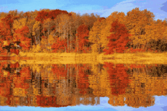 如果说,徽州 是一幅被岁月浸染的水墨丹青 那么,婺源 就是这幅中国画