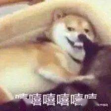 17f5e28751c94e6d9909d038c01559c8.jpeg
