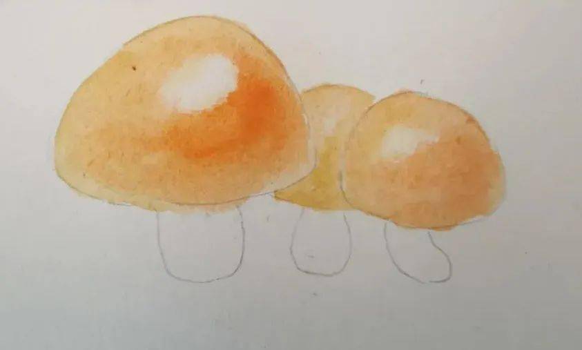 水彩教程 | 零基础画出婀娜的小蘑菇 画法步骤