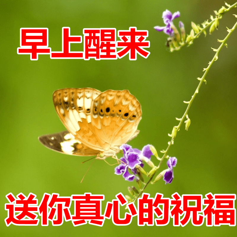 漂亮的清晨关心朋友的早安短信带图片 非常温馨的早上