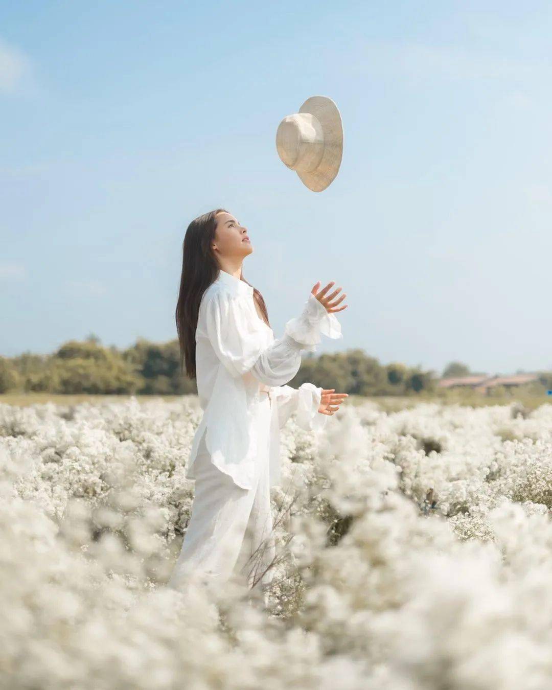 Aum|瞧！仙女出没啦~众女星在花田出没，宛如仙女下凡，漂亮石锤了！