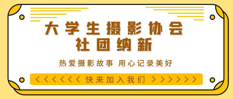 新科招聘_新科电子招聘信息 猎聘网