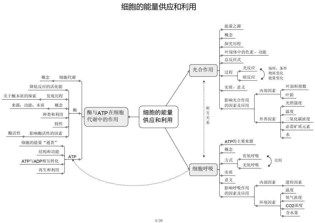 高中生物必修 选修思维导图最全归纳, 从此复习考试无忧!