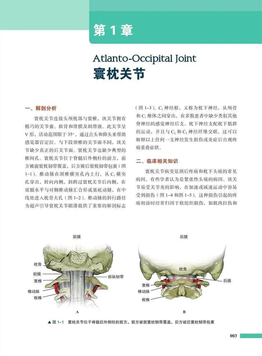 临床|双十一促销！中国科学技术出版社新书全场7折