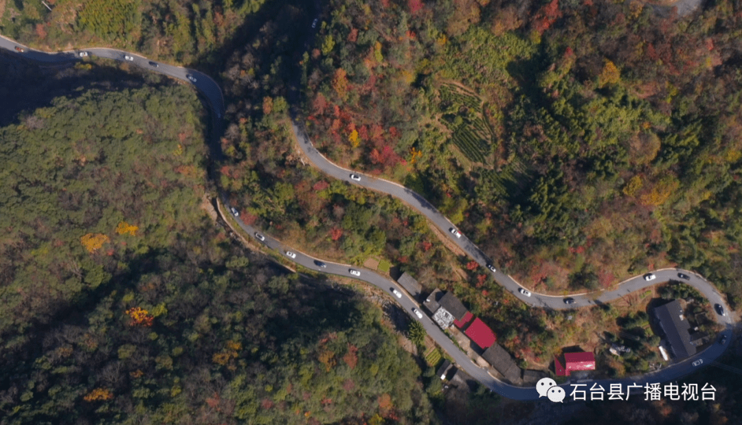 打卡康硒大地 趣游石台天路——石台县首届自驾游大会