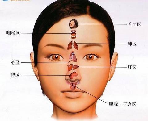 融合养生课堂-人体内脏病变会在面部有所显现