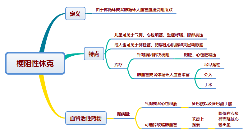 思维导图-各种休克与血管活性药物的使用