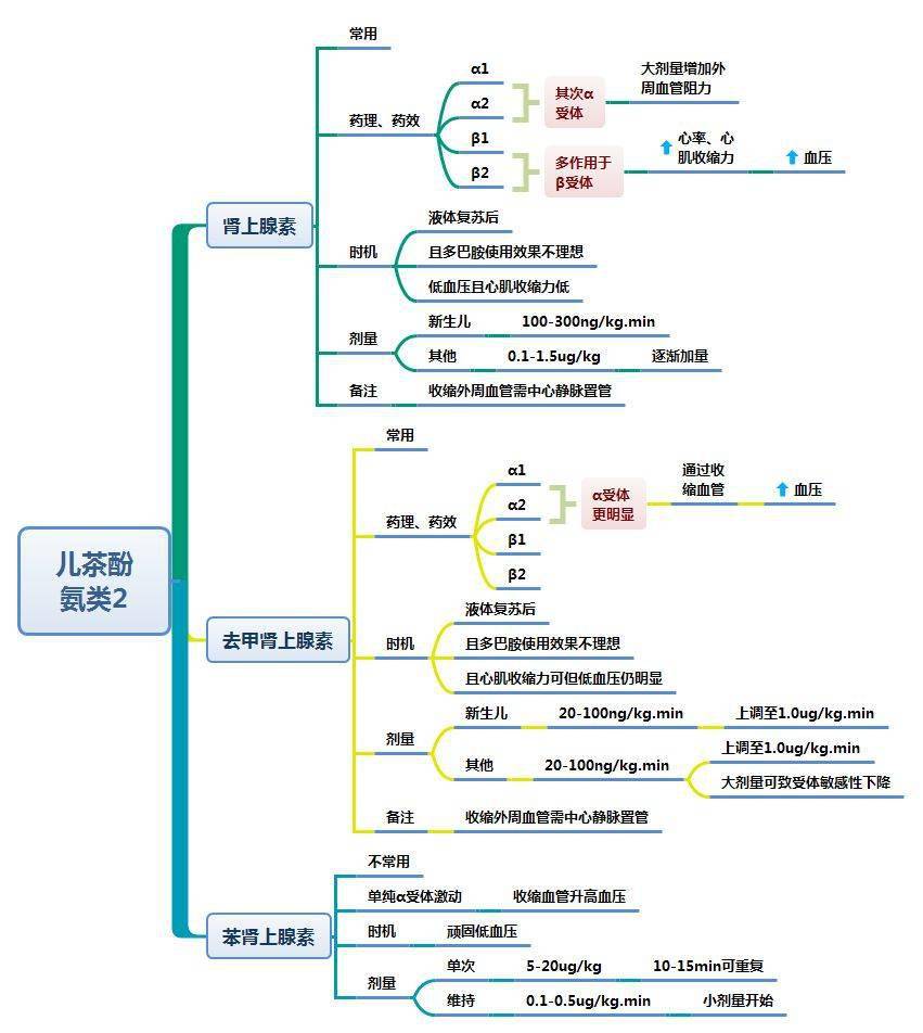 思维导图-各种休克与血管活性药物的使用