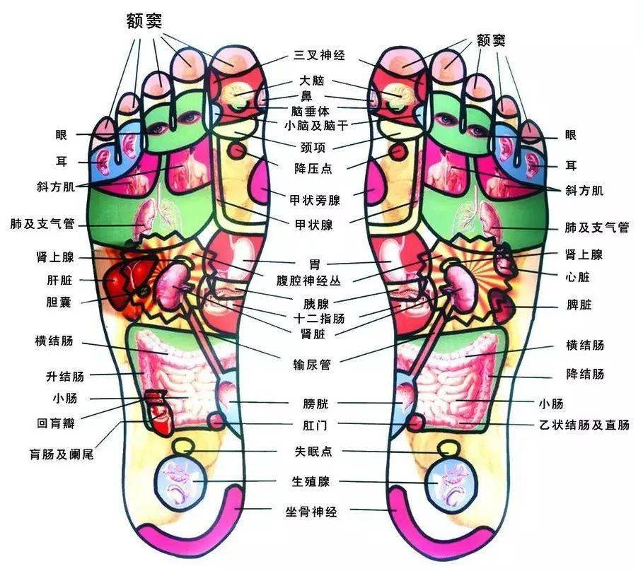 爆卖100000的羊毛袜,3秒发热,上脚比被窝还暖,3d设计 高颜值,太值!