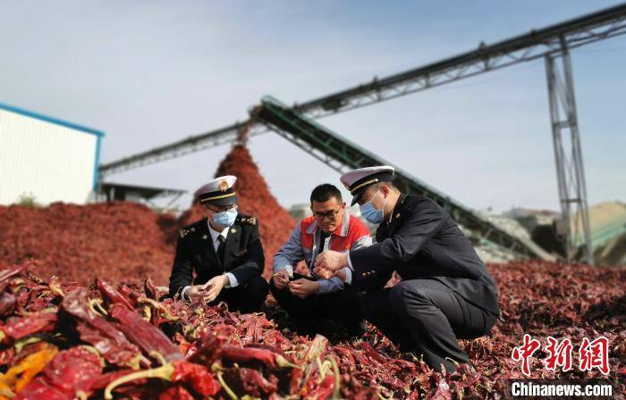 山东|前10月山东外贸进出口总值达1.76万亿元 10月当月再破2000亿元