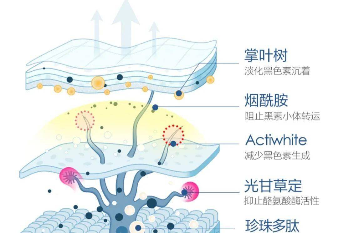 面膜|那些跟着某书护肤的女孩们，最后都怎么样了？