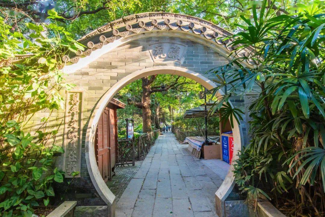 陶瓷|小洲村，还是老样子！