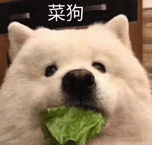 表情打游戏被气哭的妹子动图