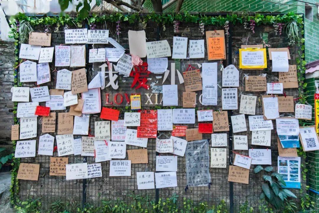 陶瓷|小洲村，还是老样子！