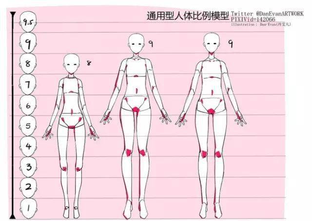 【详细教程】最全的女性人体比例模型!画妹子必备~快来