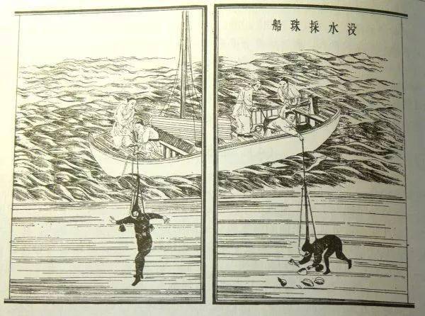 波斯|史上最“老”珍珠曝光!8000年了,还光泽如新?这都是因为...
