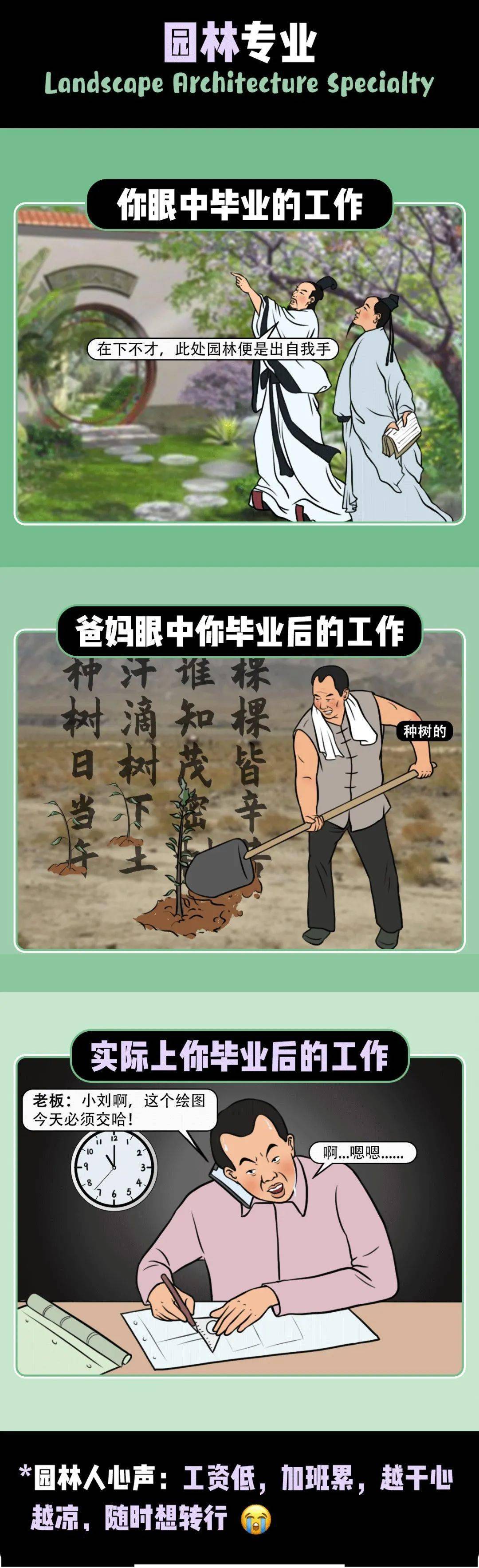 爸妈|太真实了!爸妈眼中的专业VS你眼中的专业VS现实的专业