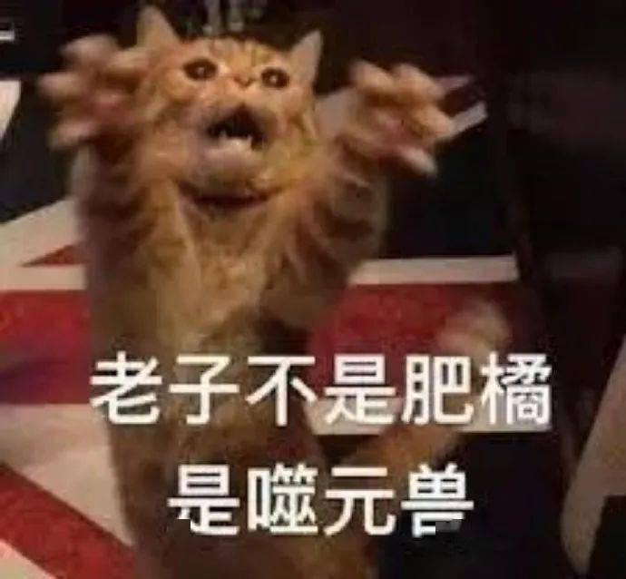 猫片,表情包都吸引不了你了吗?  在看的都不给?